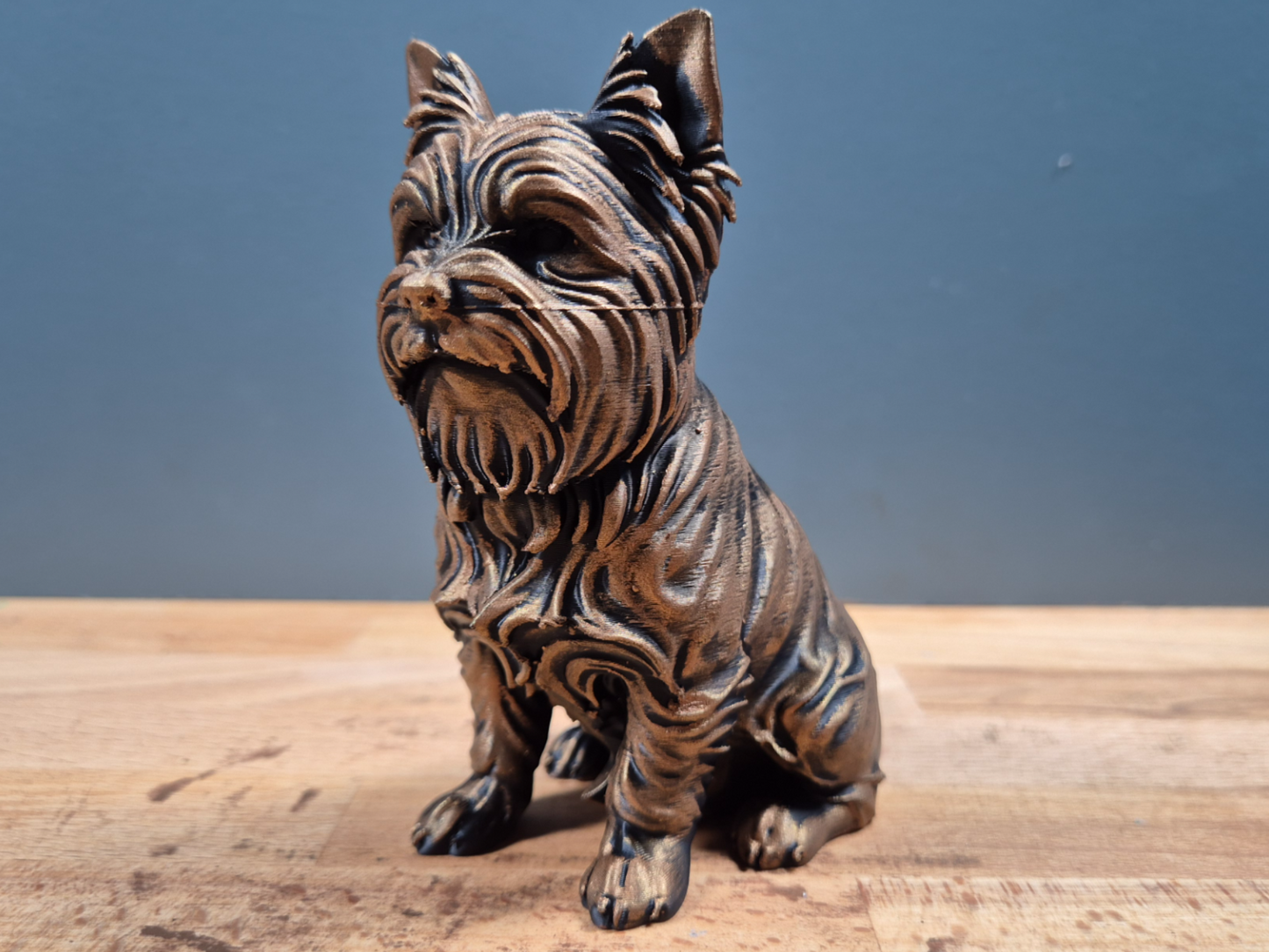 Yorkshireterrier - Hundfigur