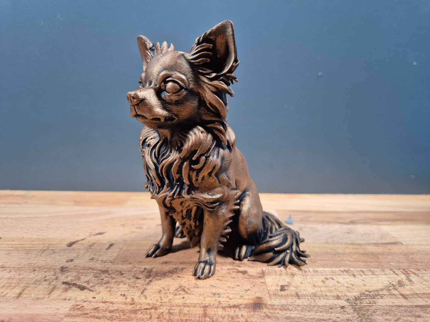 Långhårig Chihuahua - Hundfigur