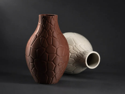 Voronoi Vas