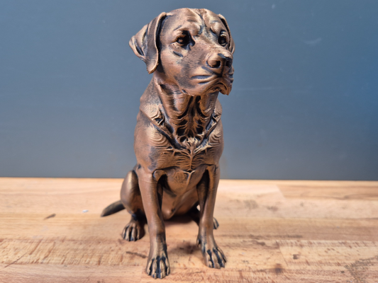 Labrador Retriever - Hundfigur