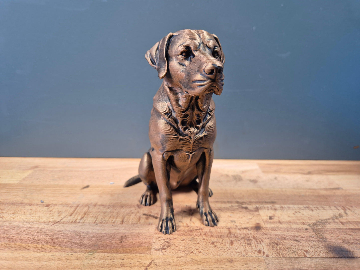 Labrador Retriever - Hundfigur