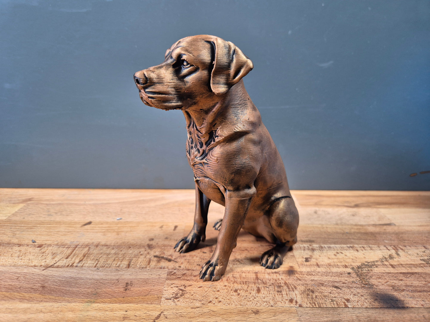 Labrador Retriever - Hundfigur