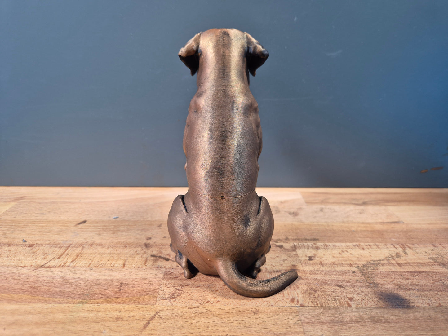 Labrador Retriever - Hundfigur