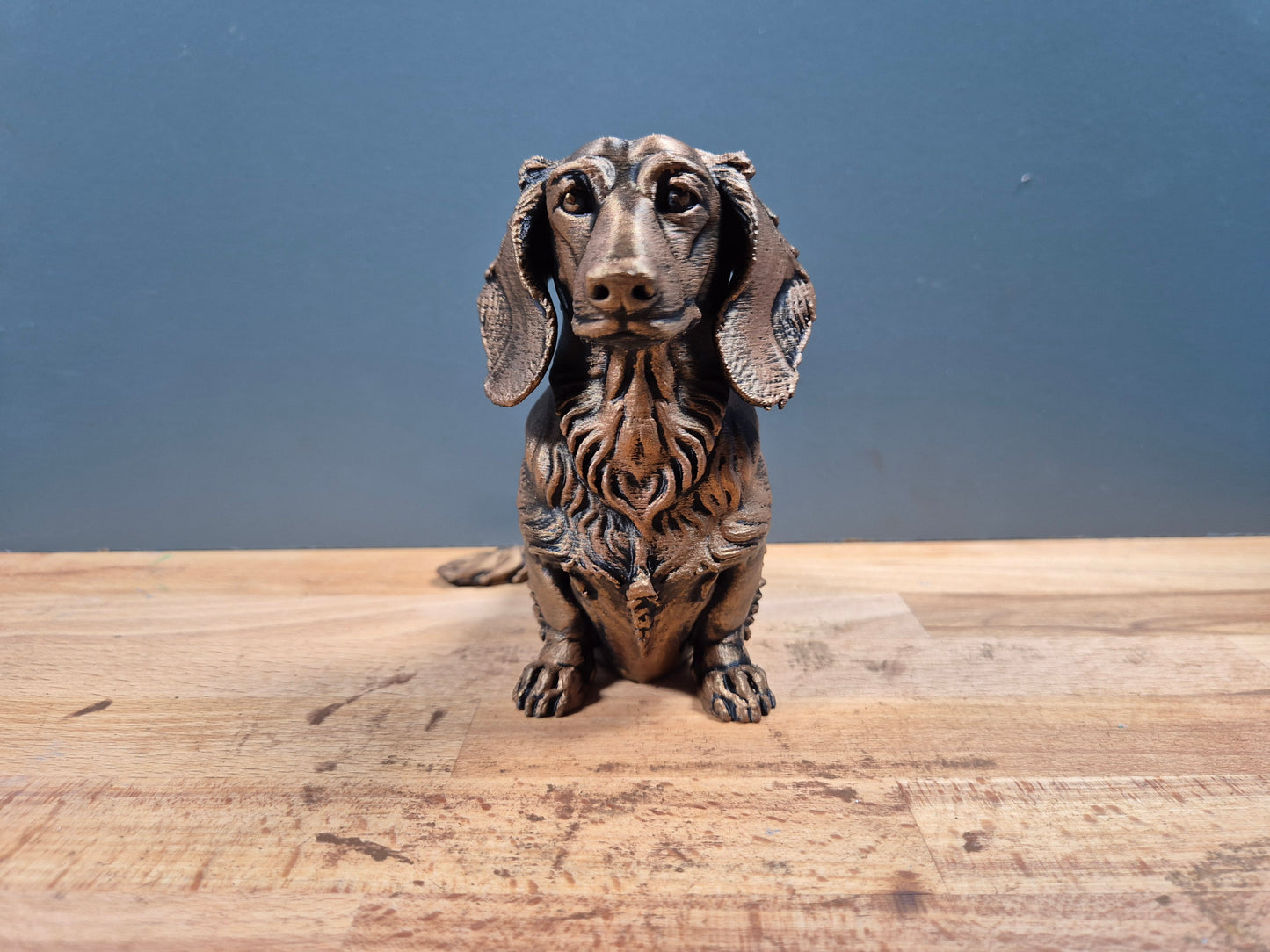 Långhårig tax - Hundfigur