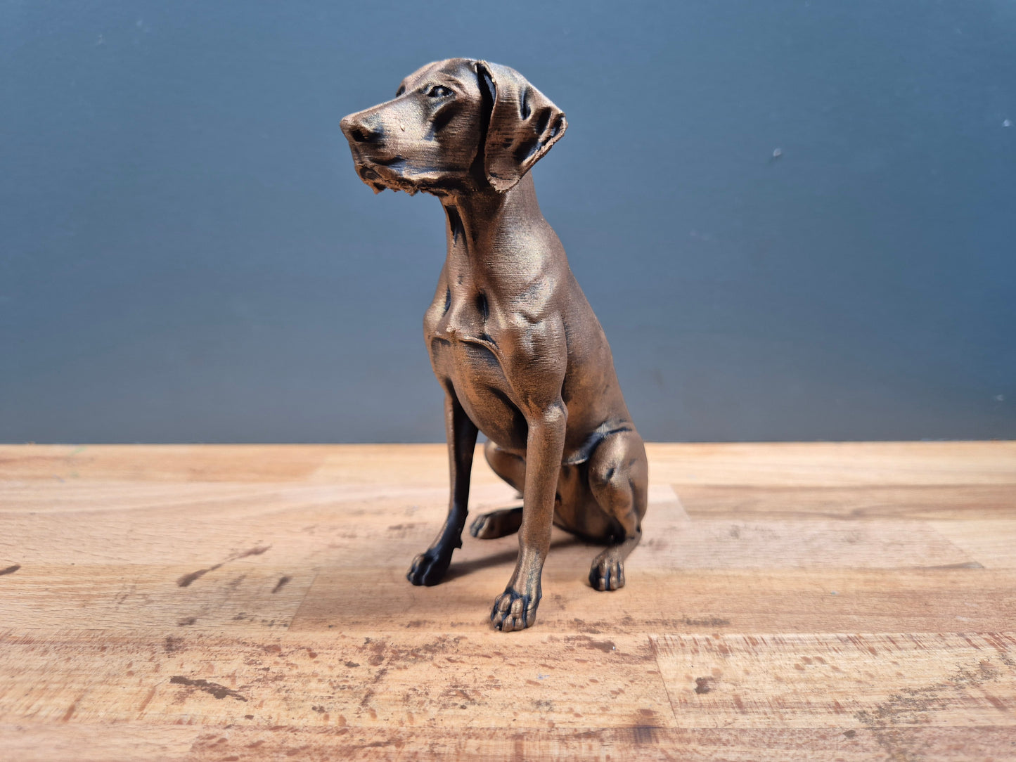 Korthårig hönahund - Hundfigur