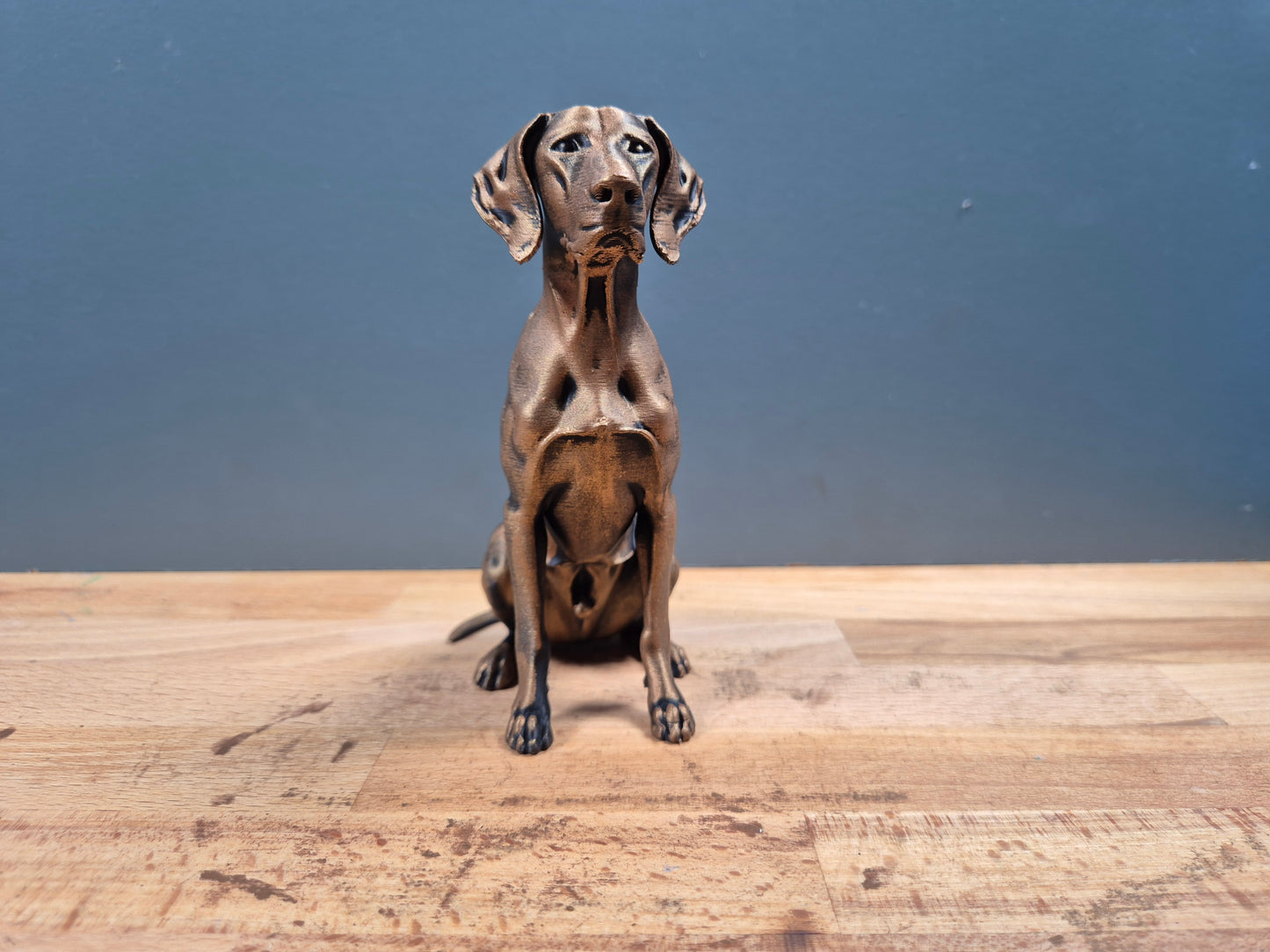 Korthårig hönahund - Hundfigur