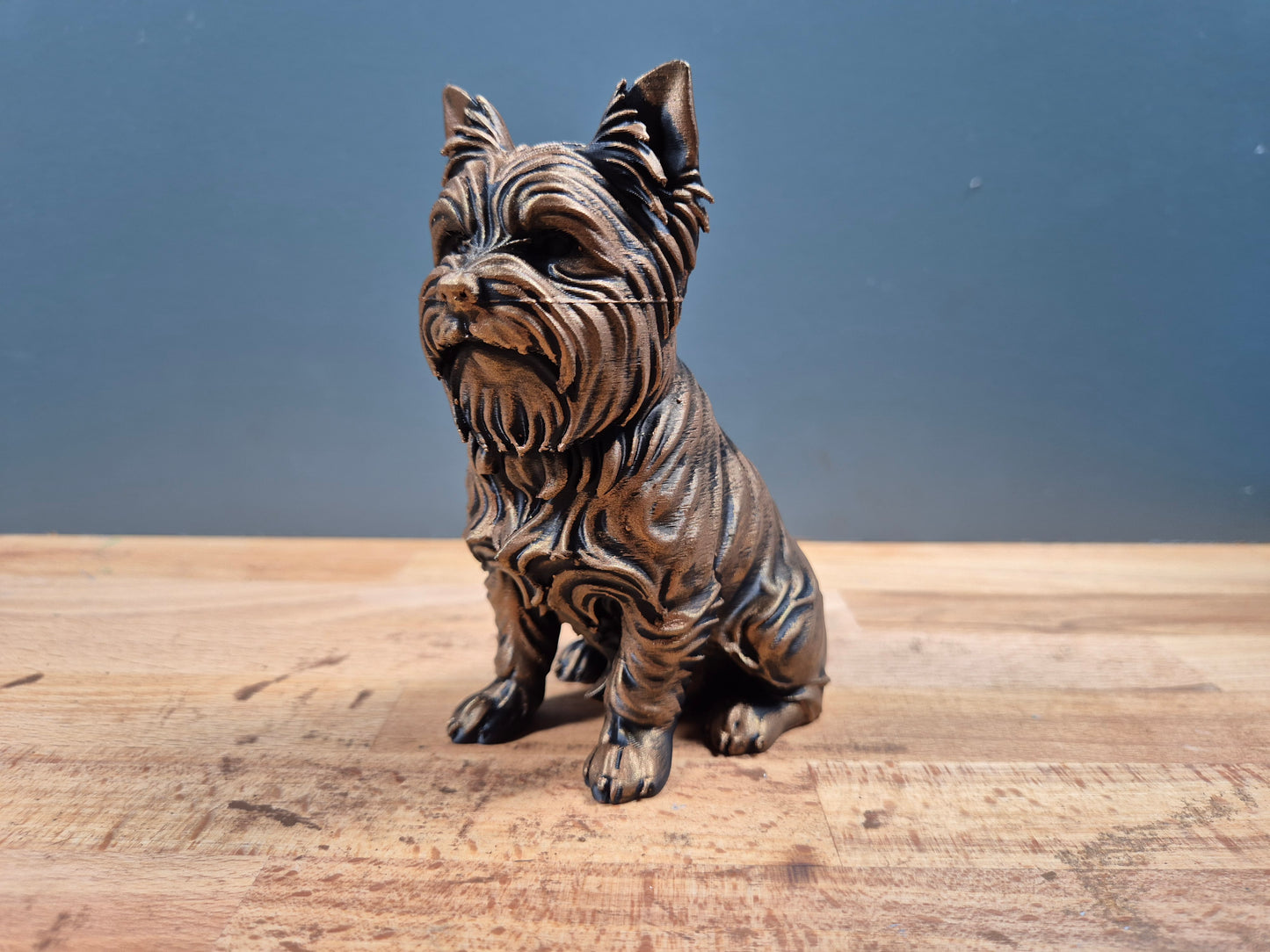 Yorkshireterrier - Hundfigur