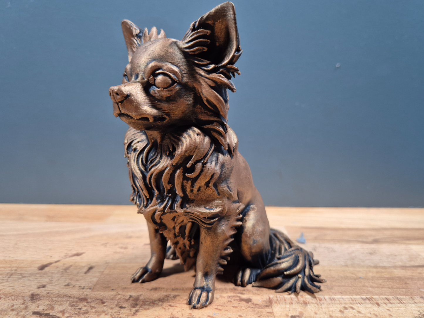 Långhårig Chihuahua - Hundfigur