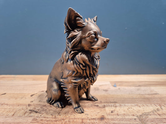 Långhårig Chihuahua - Hundfigur