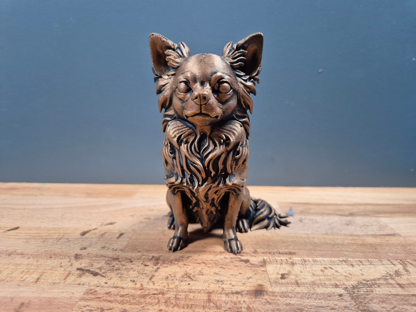 Långhårig Chihuahua - Hundfigur