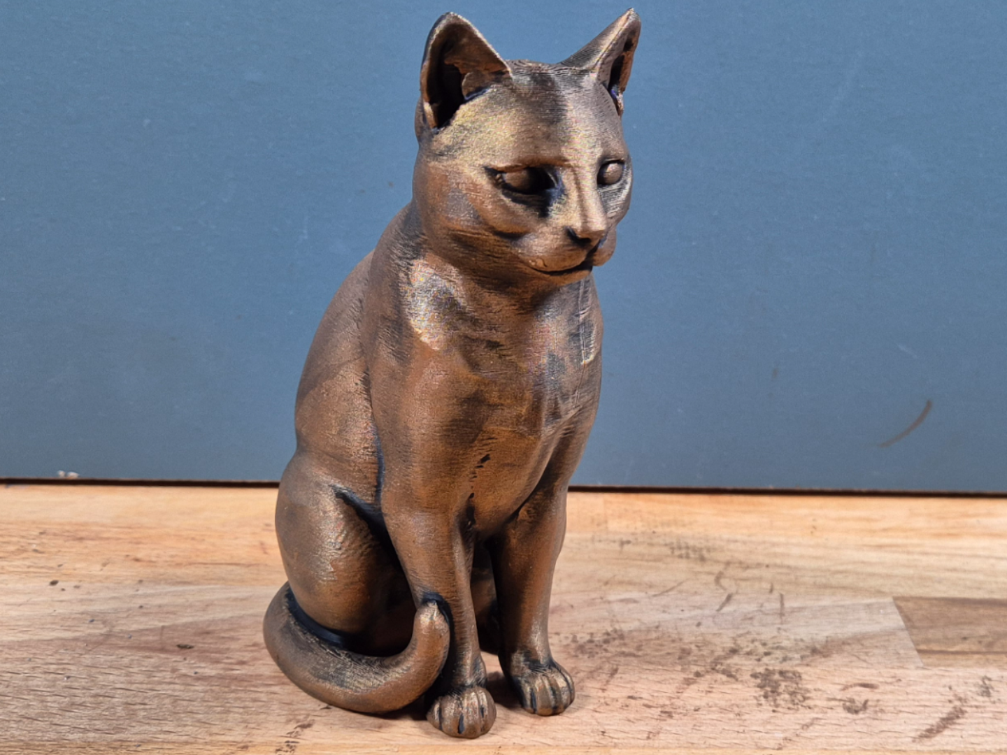 Europeisk Korthår - Kattfigur