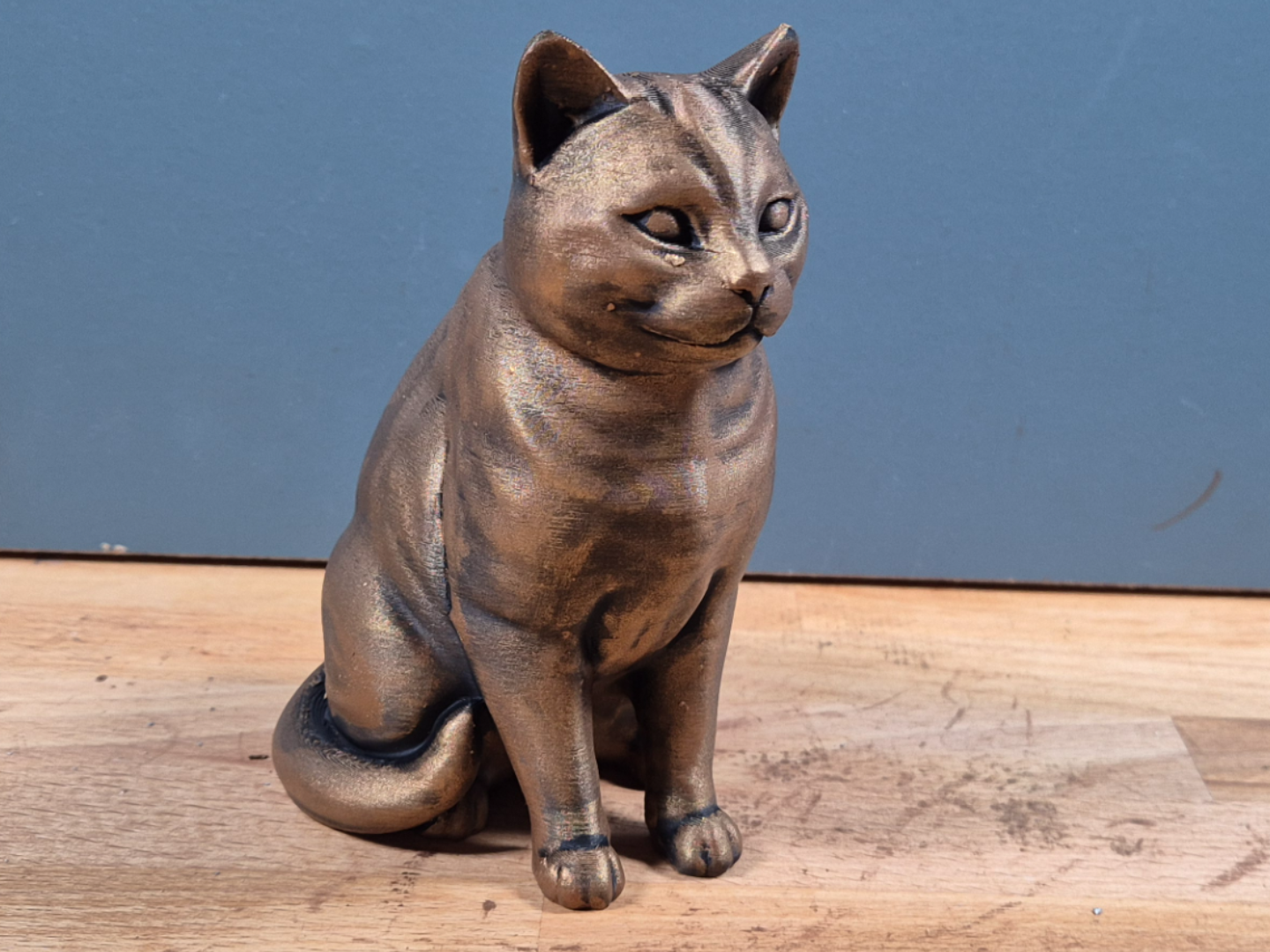 Amerikansk korthår - Kattfigur