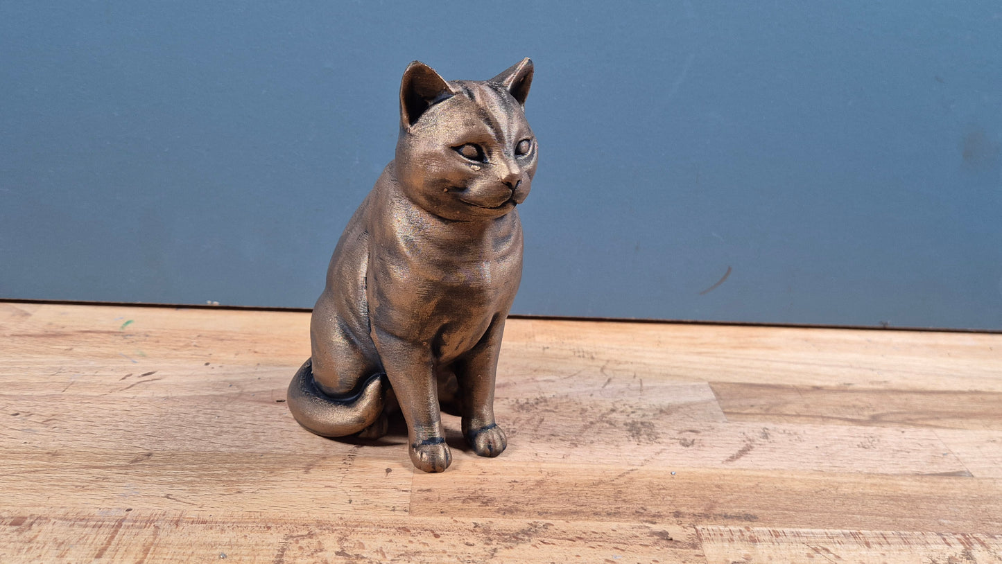 Amerikansk korthår - Kattfigur