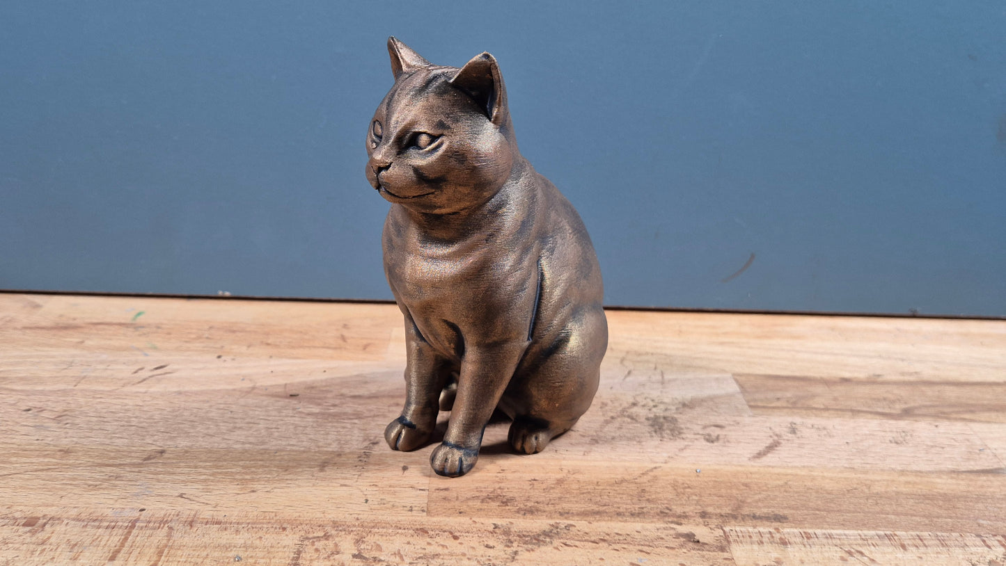 Amerikansk korthår - Kattfigur