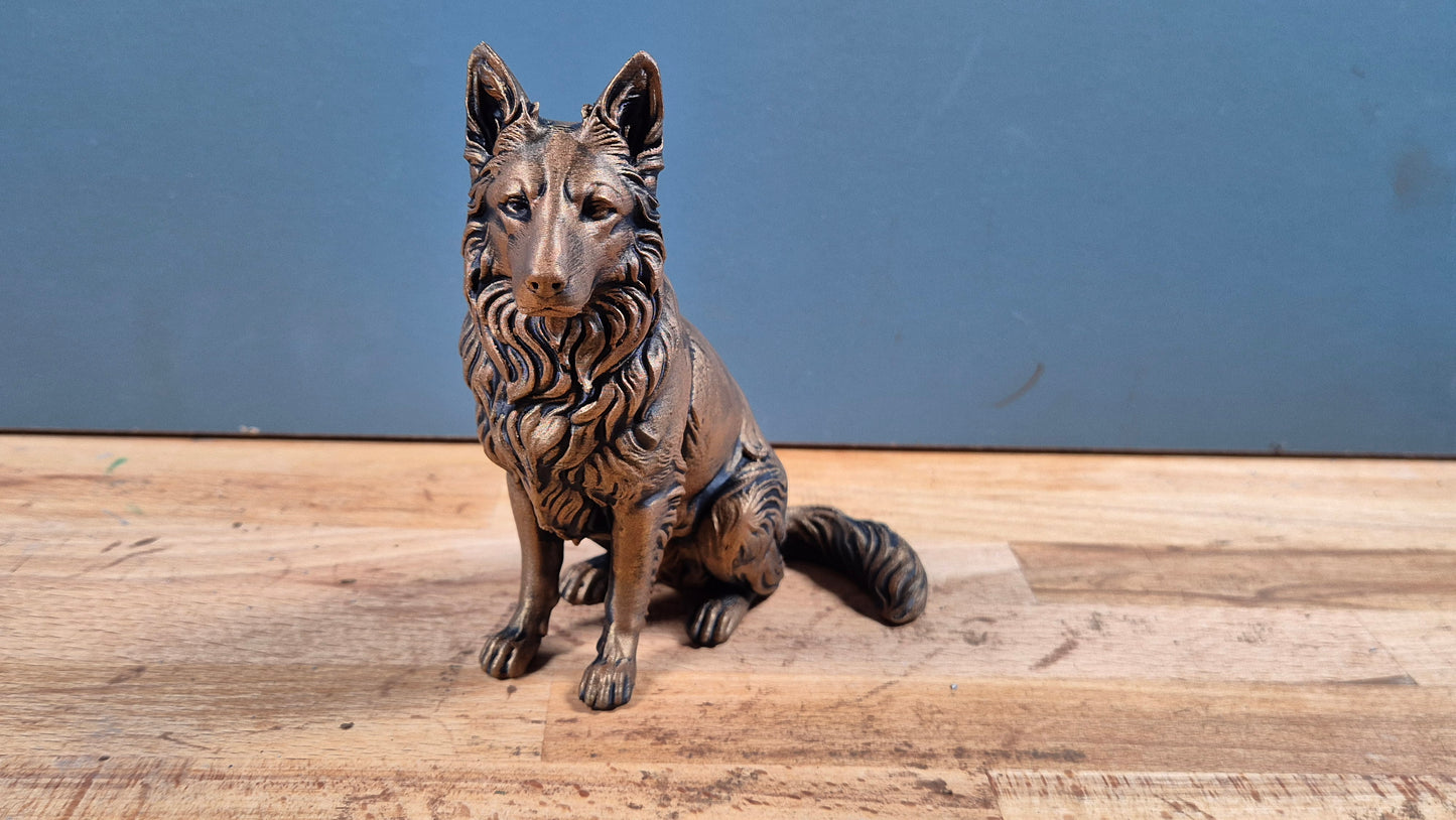 Långhårig schäferhund - Hundfigur