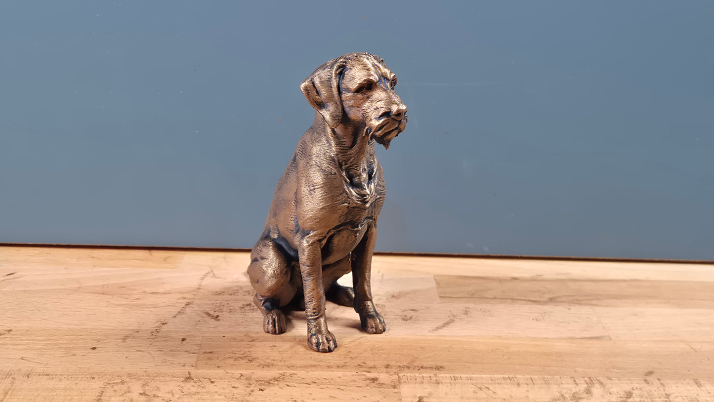 Strävhårig höna - Hundfigur