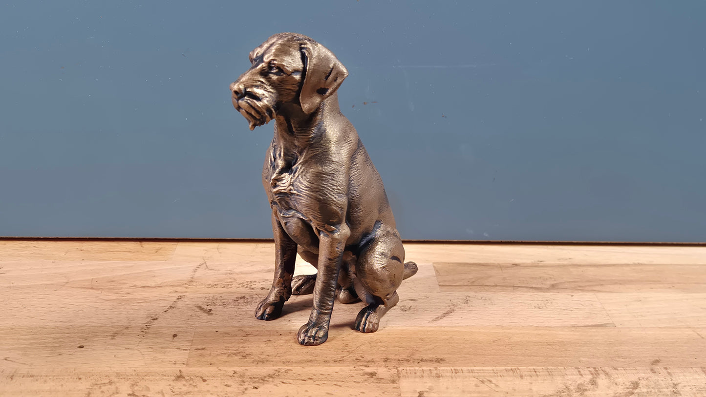 Strävhårig höna - Hundfigur