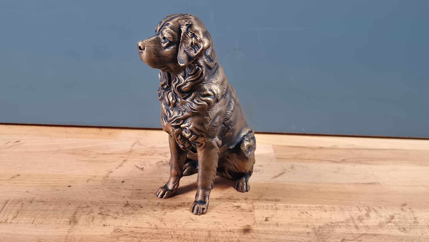 Berner Sennenhund - Hundfigur