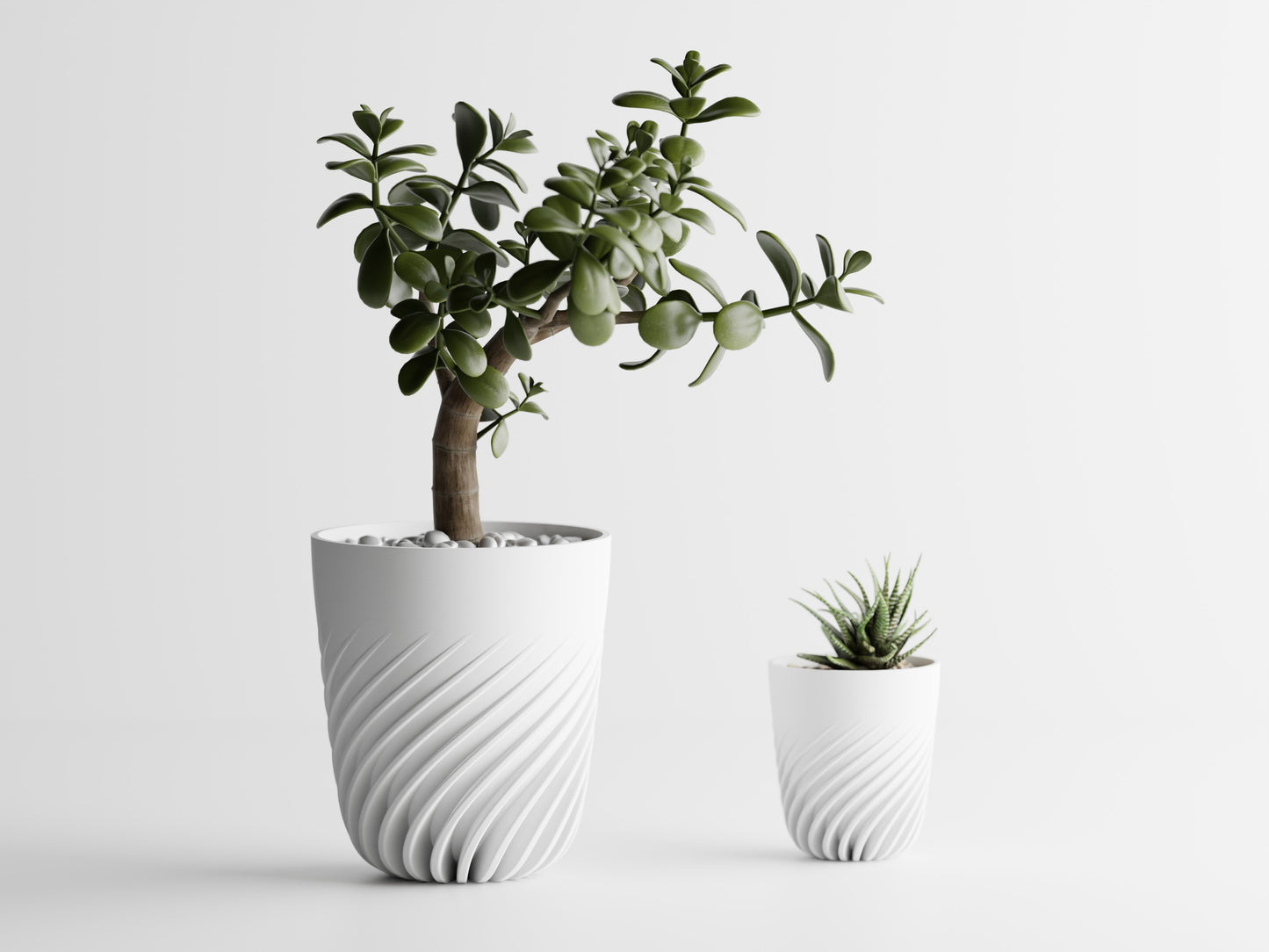 Ventra Blomkruka