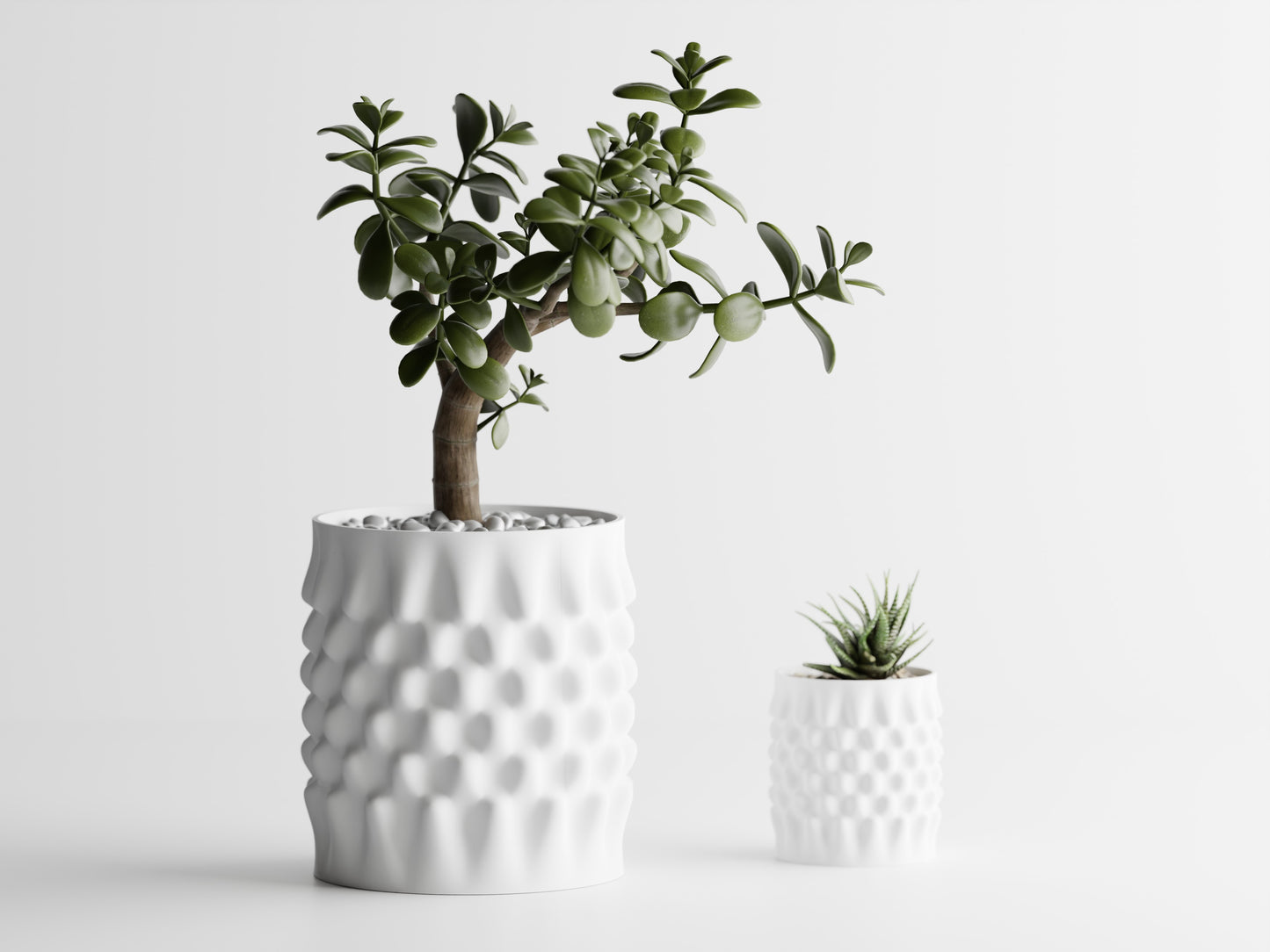 Dent Curved Blomkruka