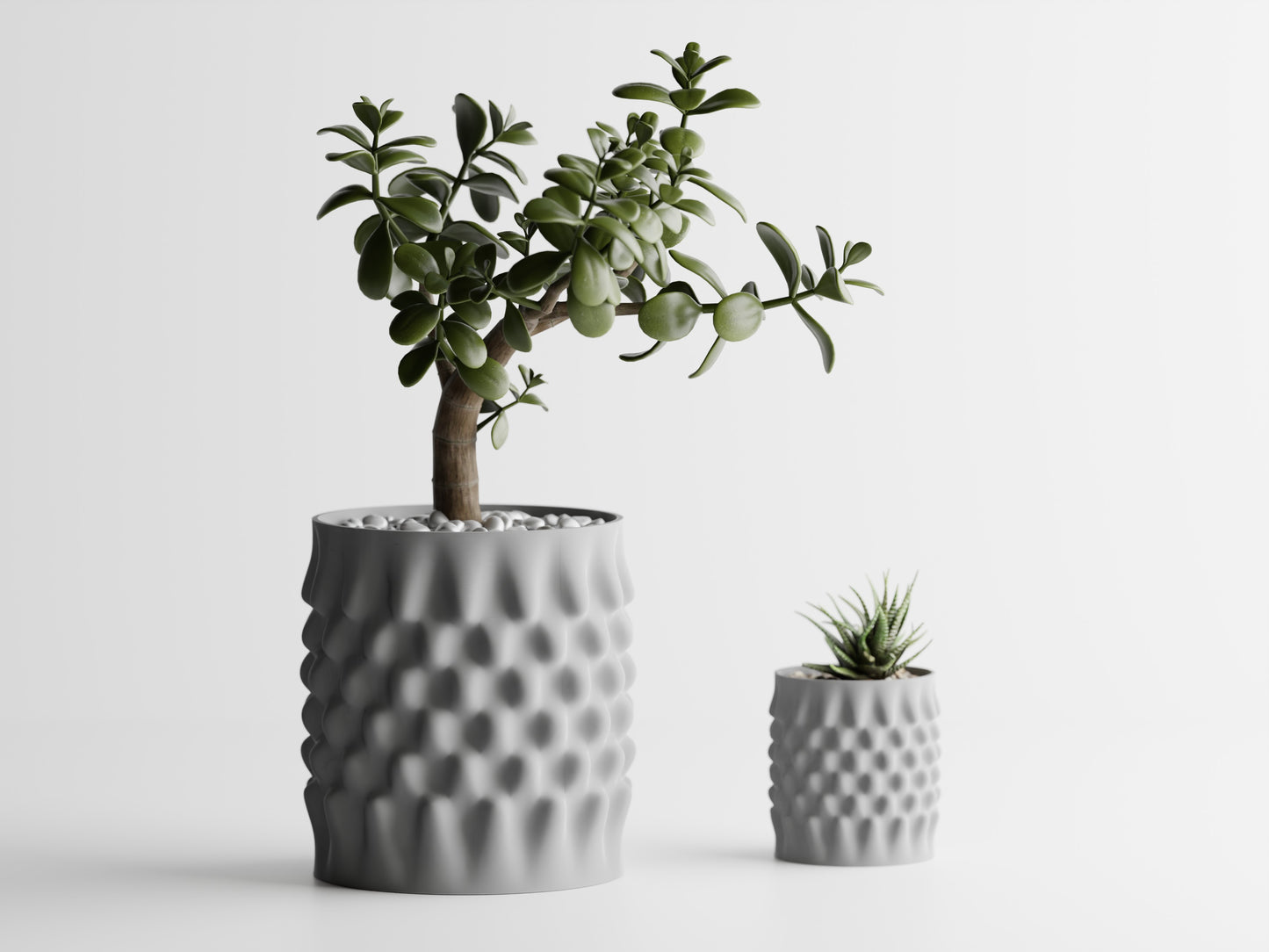 Dent Curved Blomkruka