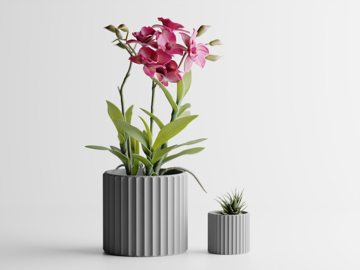 Muris Blomkruka