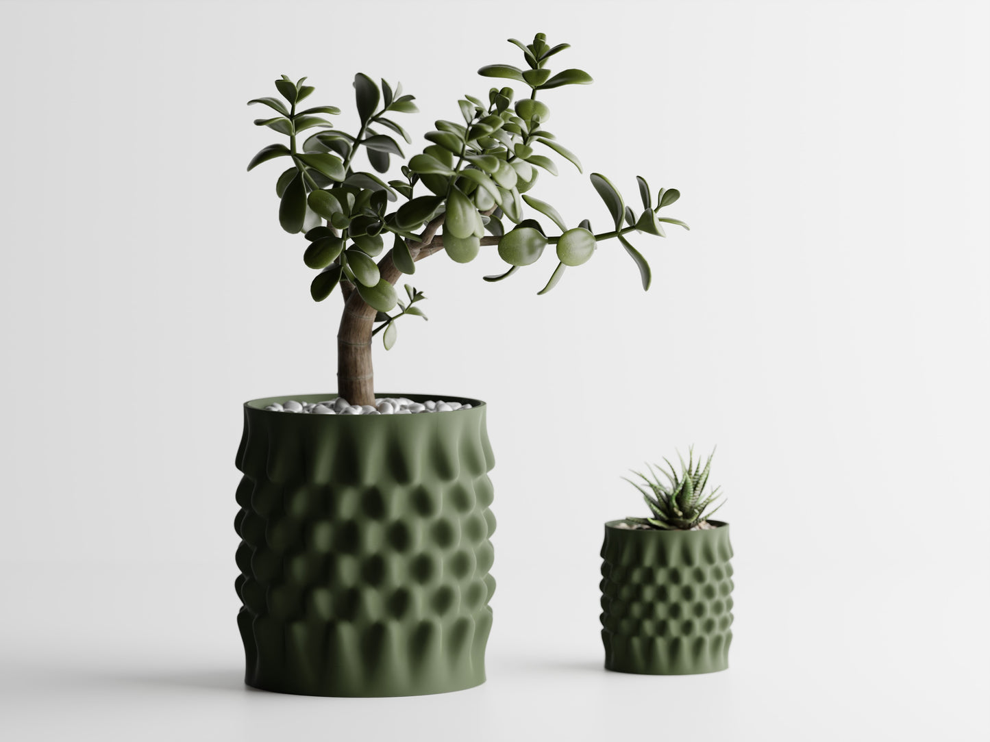 Dent Curved Blomkruka