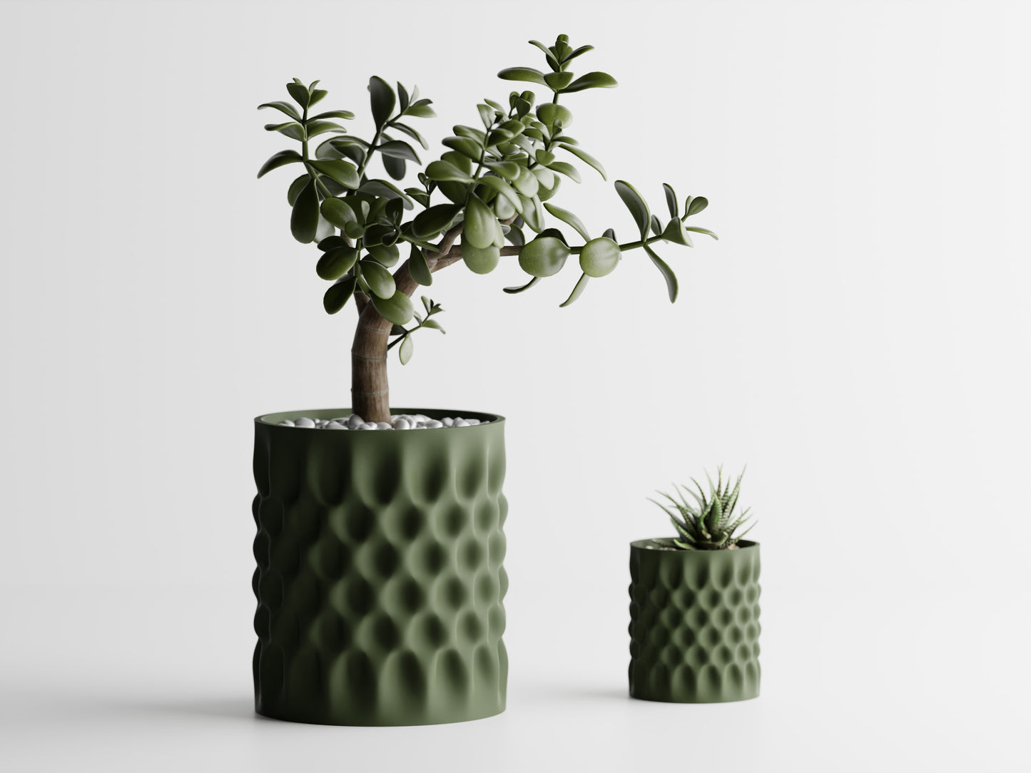 Dent Straight Blomkruka