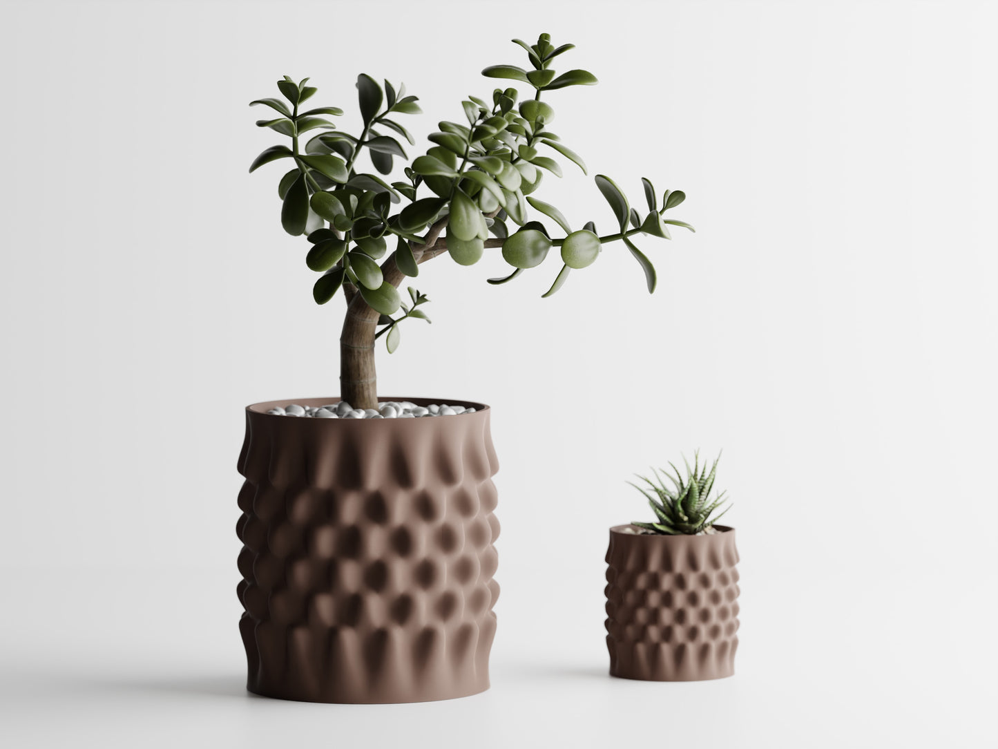 Dent Curved Blomkruka