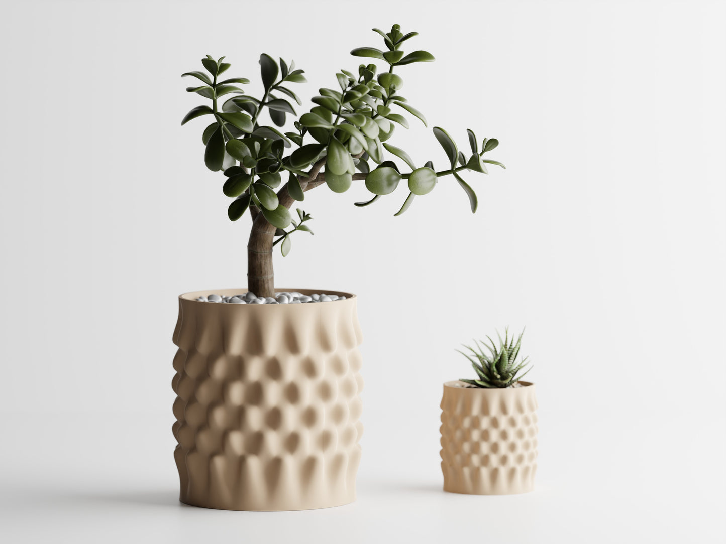 Dent Curved Blomkruka