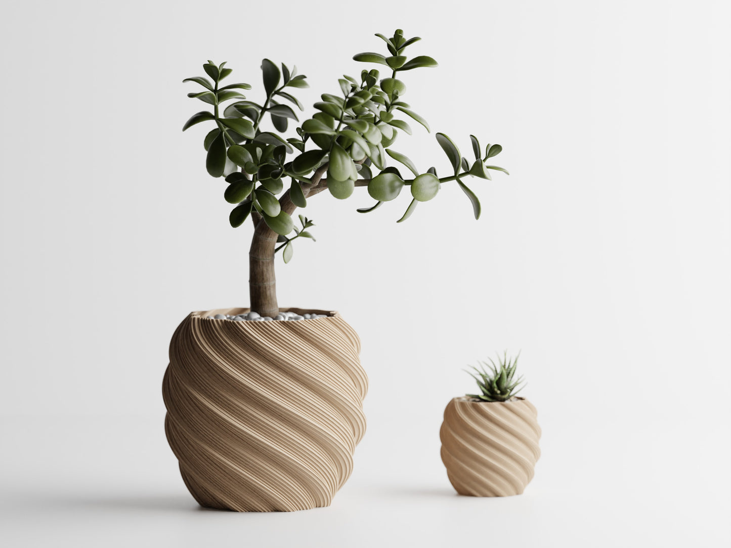 Ribs Divided Blomkruka