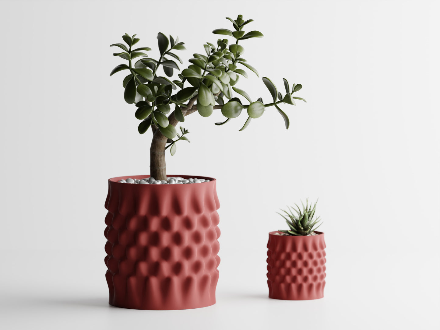 Dent Curved Blomkruka