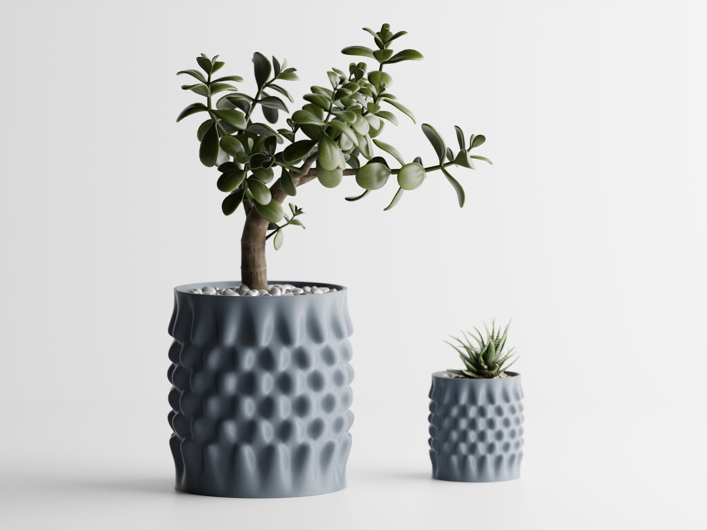 Dent Curved Blomkruka