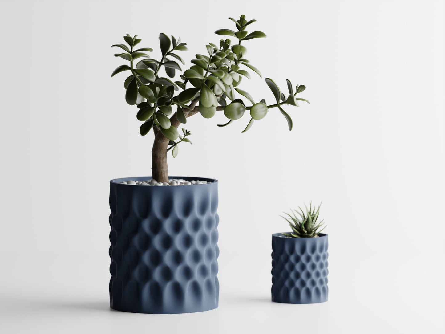 Dent Straight Blomkruka