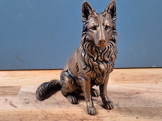 Långhårig schäferhund - Hundfigur